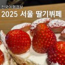 2025 서울 호텔 딸기뷔페 가격/정보 (롯데,반얀트리,JW메리어트,드래곤시티)