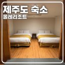 [제주 애월 가성비 숙소 추천] 객실이 정말 넓었던 올레리조트 디럭스 트윈룸(1층) 이용 후기