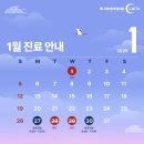 루나이비인후과의원 네이버블로그