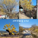 구례마을회관 | [전남 구례 여행] 산수유마을 봄꽃 절정 지리산 노란 꽃길 명소 후기