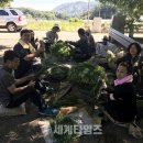 군북면사무소 이미지