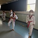 신평태권도체육관 이미지