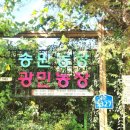광민농장 네이버블로그