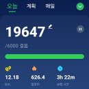 과천 대공원 한 바퀴 (2024. 6. 11) 이미지