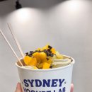 커스텀요거트(Custom Yogurt) | 광안리 신상카페 : 광안리 속 호주, 신상 이색 카페 시드니요거트랩