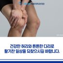 신통방통재활의학과의원 이미지