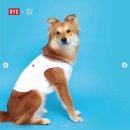 속옷잡화 이미지