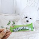포우 이미지