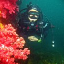 민트스쿠버 이미지