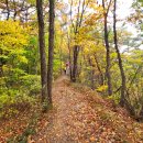 (주)대전사 이미지