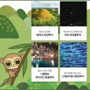 정세영농장 | 보홀육상투어 반딧불투어 후 공항무료픽드랍