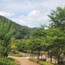 생거진천치유의숲 네이버블로그