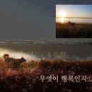 안면도은행나무민박 네이버블로그