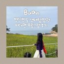 문수동 주민센터 사무실 입구 | 아이랑 변산반도 생태탐방원 산책코스로 딱! 비대면 챗봇 생태관광 프로그램 체험 방법