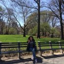 명동시장 이미지