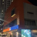 황금막창 | 대구 동성로 신상 맛집, 진미막창에서 황금올리브막창 먹어본 솔직후기