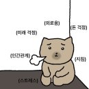 익선 아뜨리에 | 프랭크커핀바, 동방커피, 코제무드, 땡큐베리머치, 성신여대 인하프, 러프러프 아뜰리에 안국, 익선취향