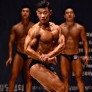 히어로바디 이미지