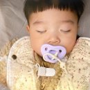 자인당한의원 네이버블로그
