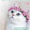 디어마이블루 이미지