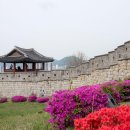 스마트폰 제대로 즐기기 이미지