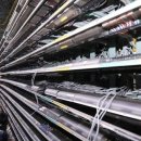 100억 PC방 이미지