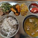 노엘유치원 | 26세 임연경, 11만원 베리시 반액 민생지원금으로 구매