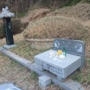 일등농약종묘도매상사 이미지