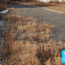 삼강공인중개사사무소 이미지