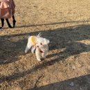 더벤티방이