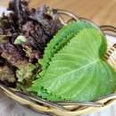 해변곰장어 이미지