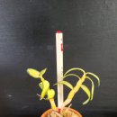 서하농장 이미지