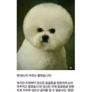 생생장어 이미지