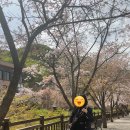 보은장 이미지
