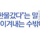 쌍둥이부페 이미지