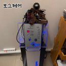 보그헤어 신세계백화점 하남점 두피 데톡스케어 후기