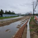 기흥호수공원(생태) 이미지