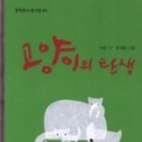 배부른고양이 이미지