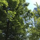 박기섭한의원 이미지