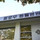 헬로우동물병원 여의도점 이미지