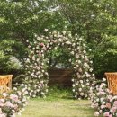 하오개로351번길 이미지