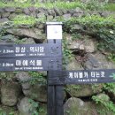 금오산 등산로