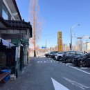 분당-181 | [경기/성남] 분당판교 주민 다 아는 30년된 설렁탕 맛집 ‘감미옥 본점’ 주말 웨이팅 솔직후기 내돈내산