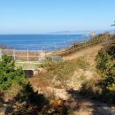 수평선부동산공인중개사사무소 이미지