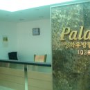 팔레스 이미지