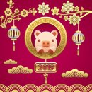 와이번 주짓수 합기도 이미지