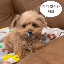 신혜 큐사랑 | 생존신고