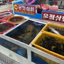 윤정상회 이미지