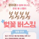 4월 2일 한빛봄나들이 봄봄봄봄 '벚꽃버스킹' 이미지