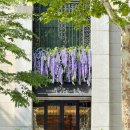 노블푸드 | 서울 강남 밝은홀 웨딩홀 노블발렌티 삼성 할인혜택 공유 홀투어 후기